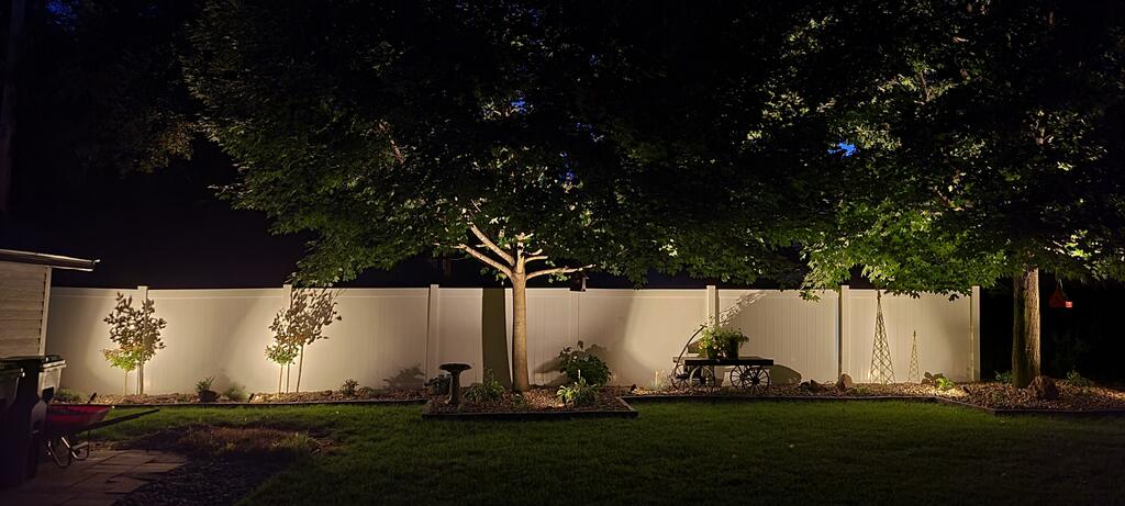 Tree Uplighting: Artful Illumination for Gardens